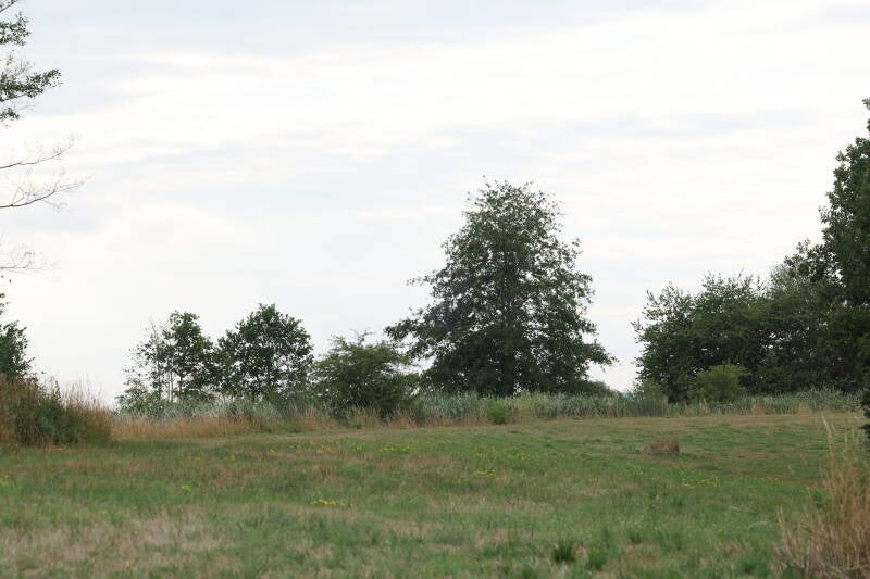 landschaft-b-ume_045a3390-standard.jpg