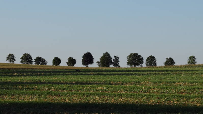 landschaft-b-ume_045a4184-standard.jpg