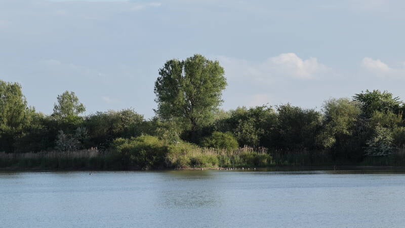 landschaft-baum_045a2396-standard.jpg