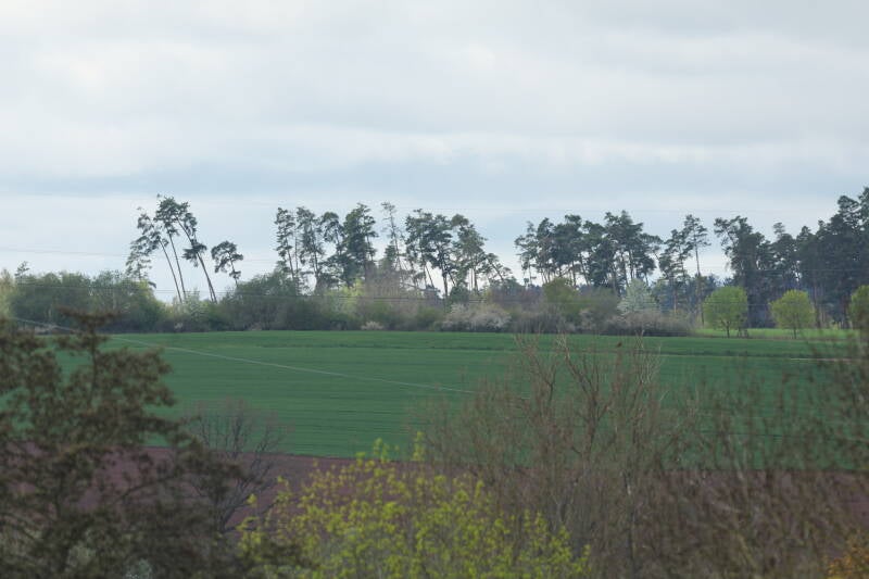 landschaft-sachsen_045a2099-standard.jpg