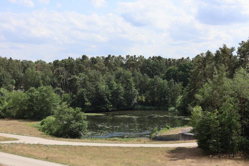 landschaft-teich-img_8646-standard.jpg