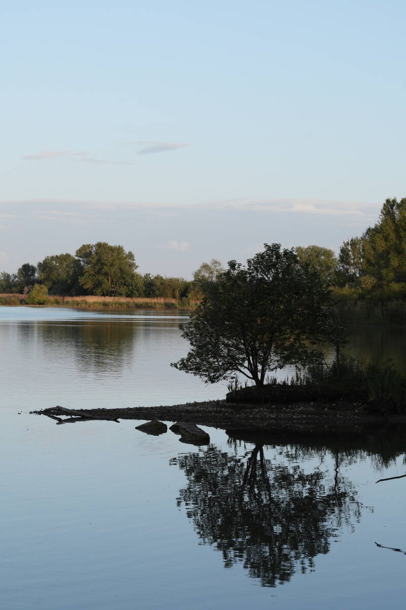 landschaft-vi-abendlicht_045a2523-standard.jpg