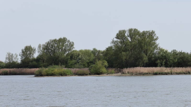 landschaft-vi_045a2147-standard.jpg