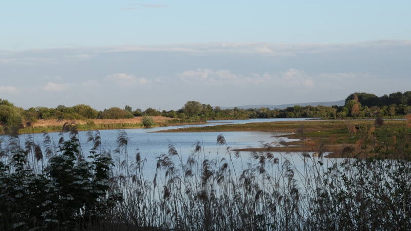 landschaft-vi_045a2509-standard.jpg