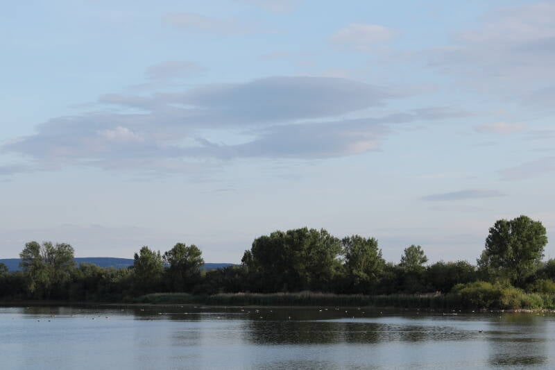 landschaft-vi_045a2718-standard.jpg