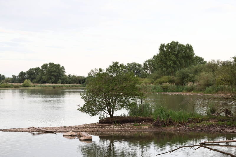 landschaft-vi_045a2903-standard.jpg
