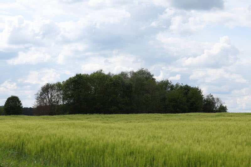 landschaft-wei-bachm-hle_045a2353-standard.jpg