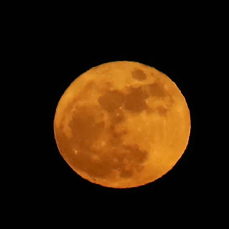 mond_img_9617-standard.jpg