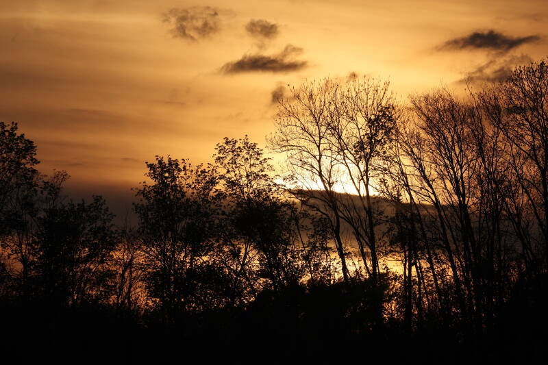 sonnenuntergang-sachsen_045a2096-standard.jpg