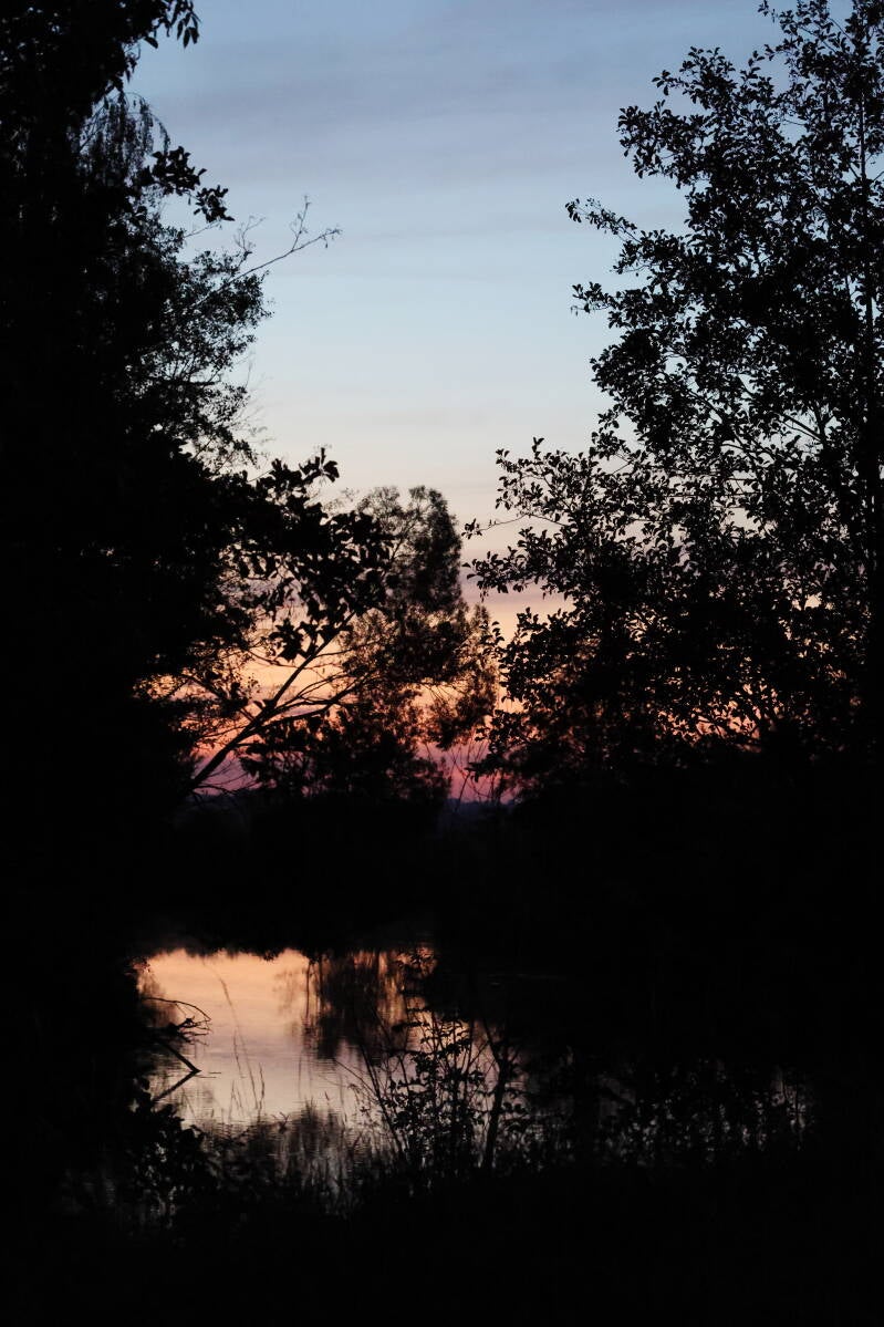 sonnenuntergang_045a4944-standard.jpg
