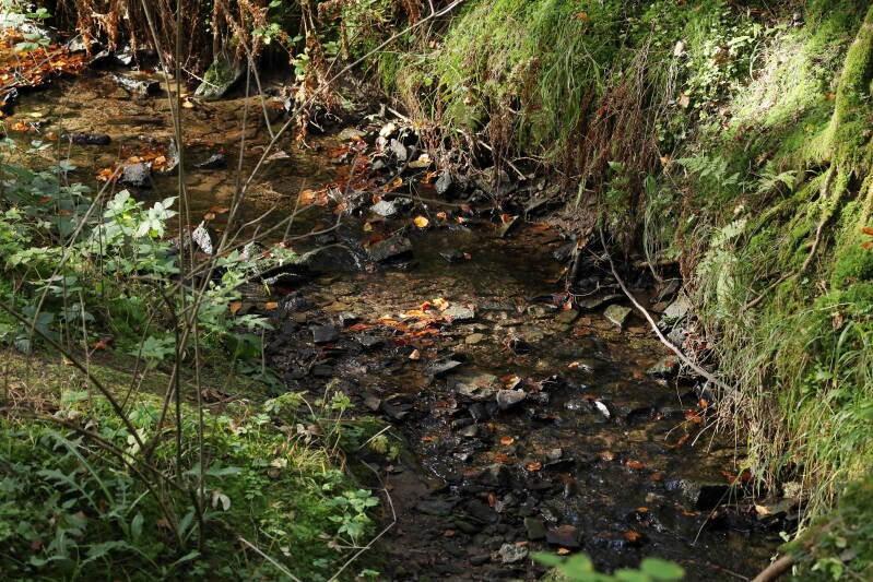 wasserlauf-herbst_img_7969-standard.jpg