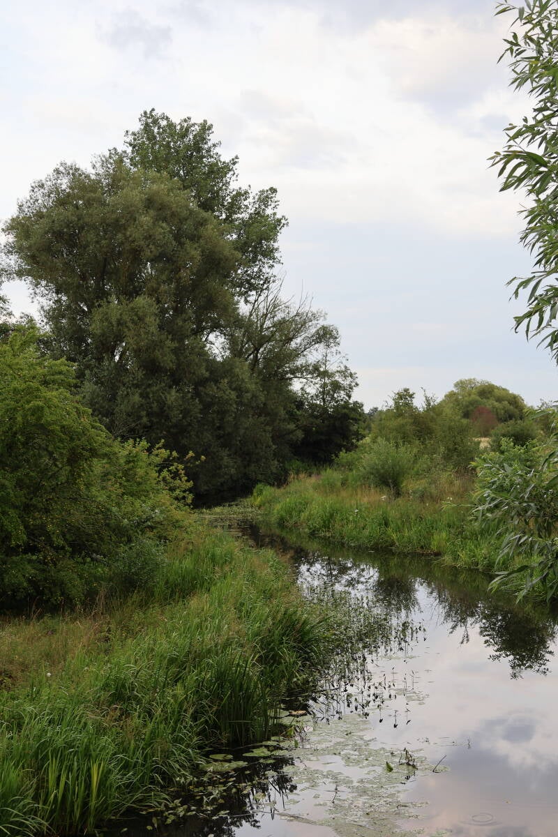 wasserlauf-vi_img_8629-standard.jpg