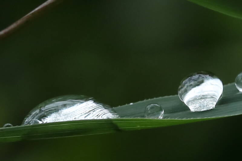wassertropfen_img_7578-standard.jpg