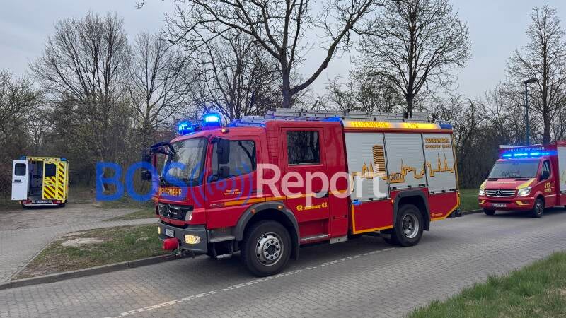 ©Foto: Tom Nelio Dürr (SYMBOLBILD)