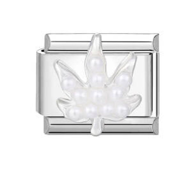 Silver charm