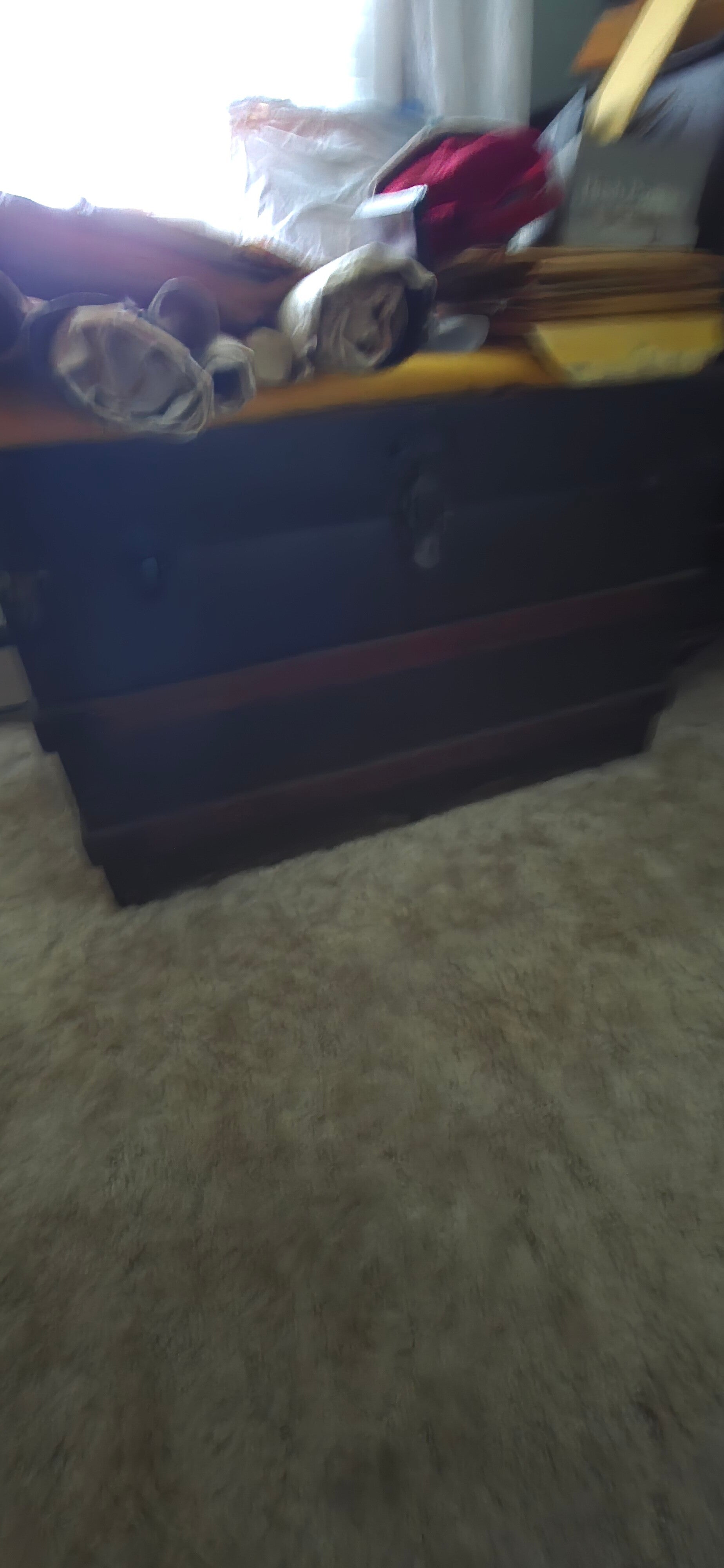 20260813_110631-standard.jpg