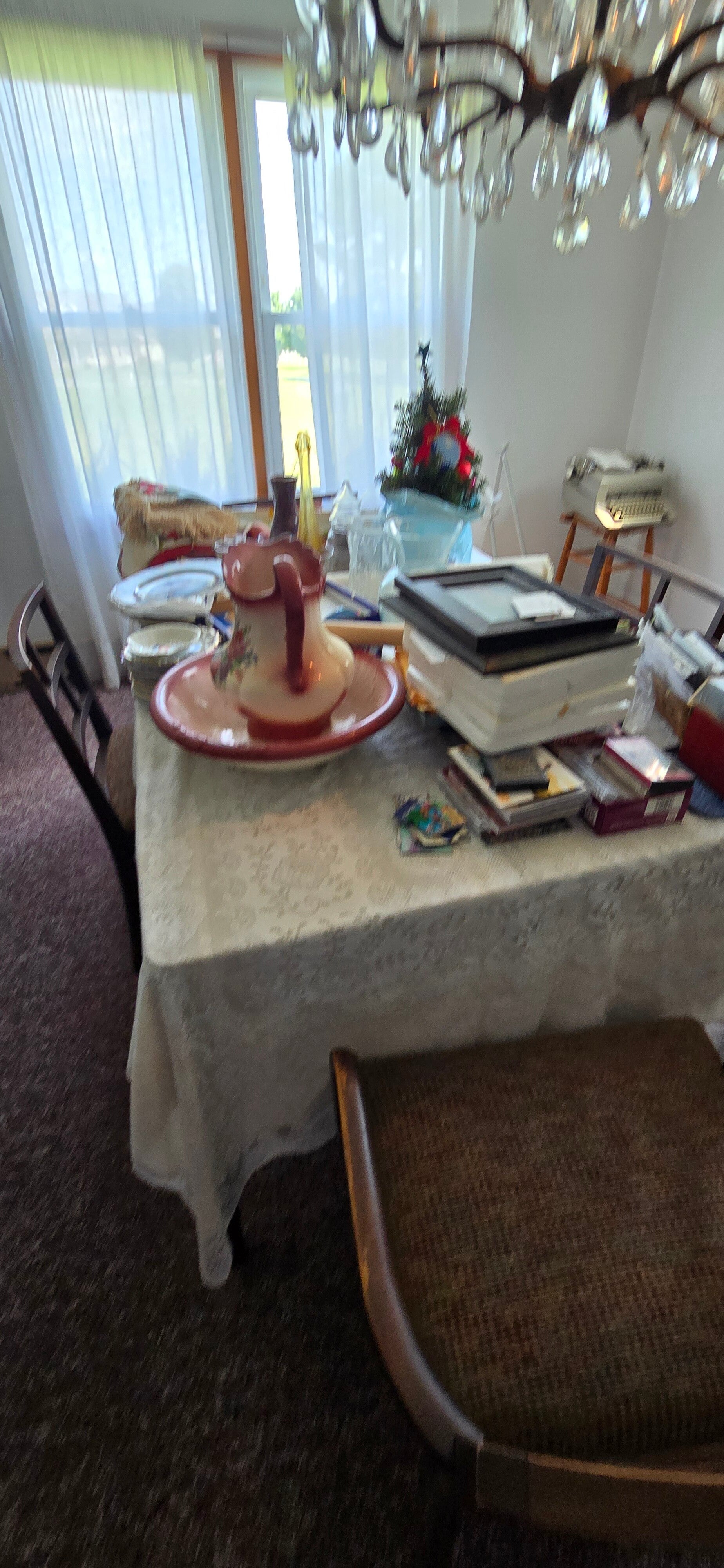20260813_110846-standard.jpg