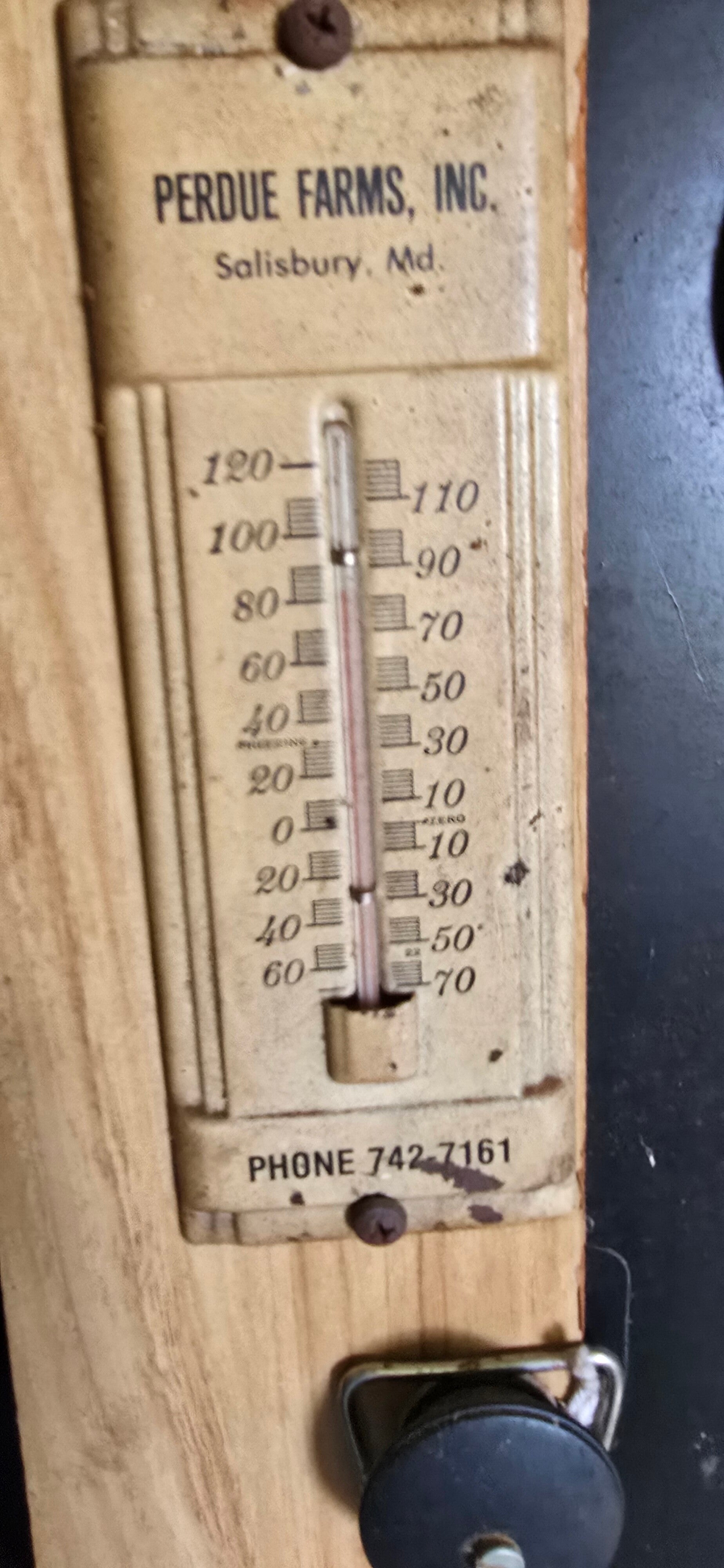 20260813_111911-standard.jpg