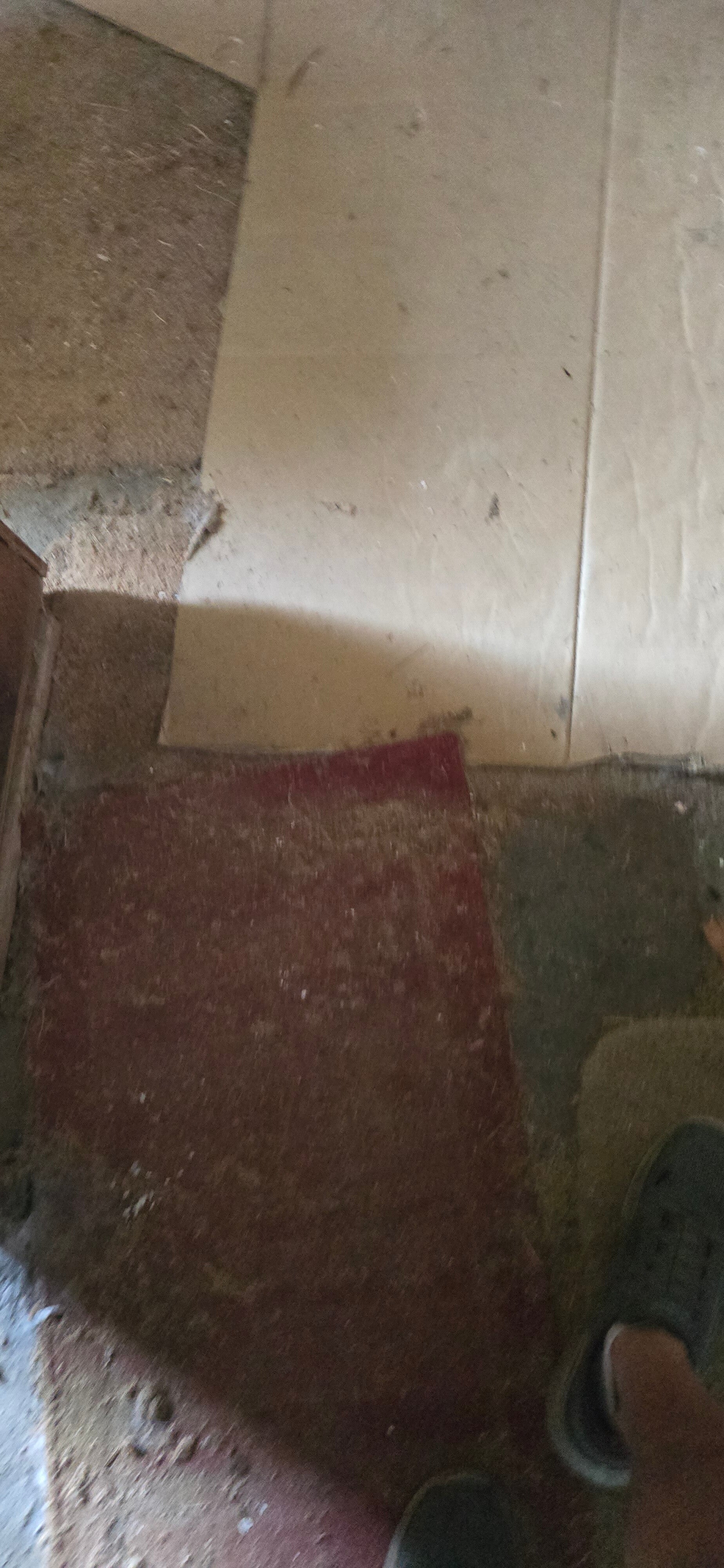 20260813_111947-standard.jpg