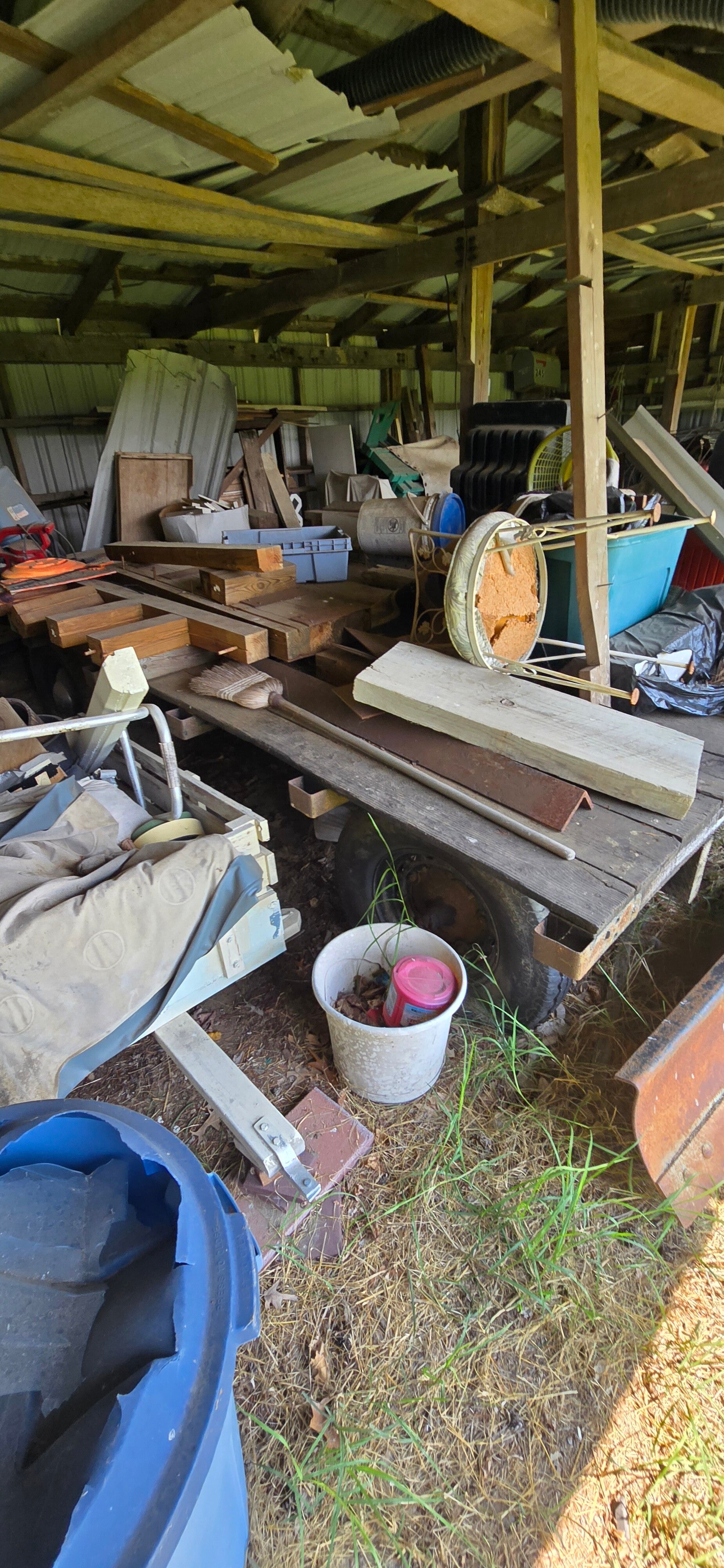 20260813_113315-standard.jpg
