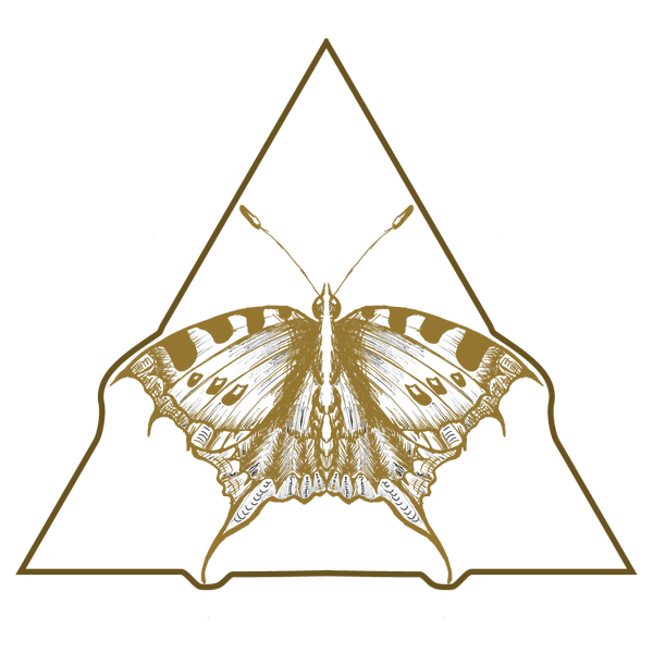 Schmetterling in Form