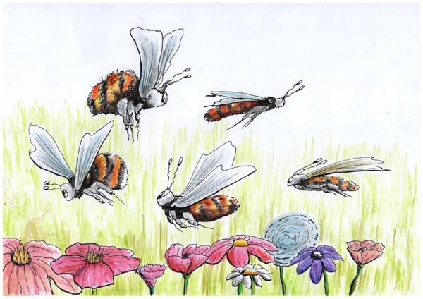 Ausmalbuch Wildbienen