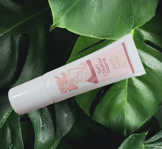 BURRO PERFECT LIPS 8ml