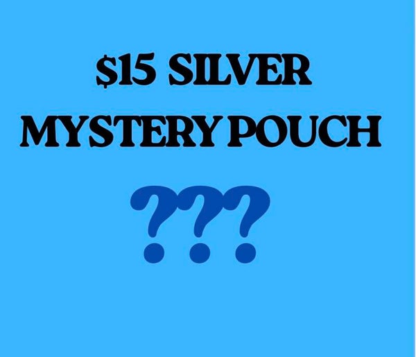 $15 SILVER MYSTERY POUCH