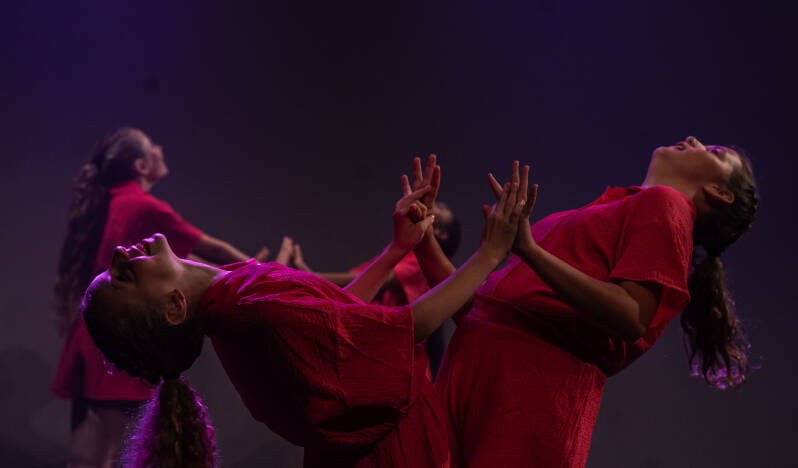 Pink Pineapple Productions - Dima Sadoon