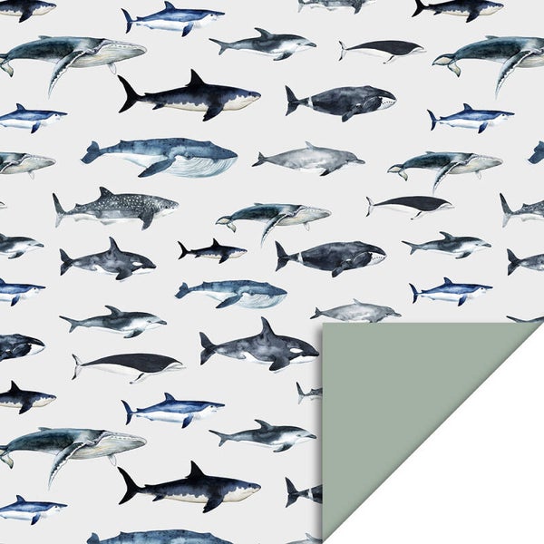 Cadeaupapier  |  Sealife  |  50CM x 3M