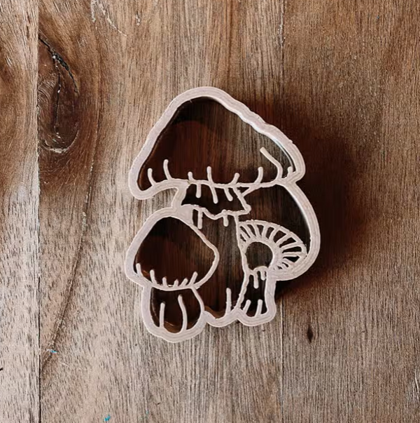 Uitsteker  |  Paddenstoel