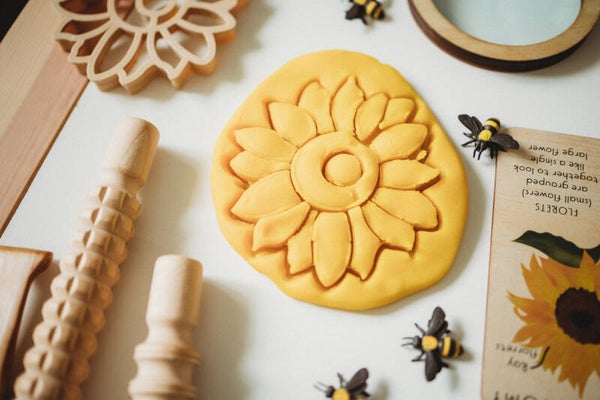 Uitsteker  |  Zonnebloem