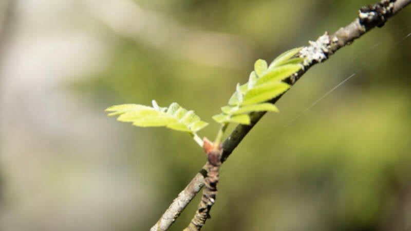 img_2615-standard.jpg