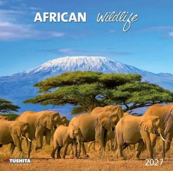African Wildlife
