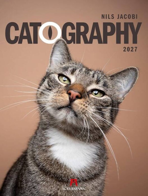 Catography