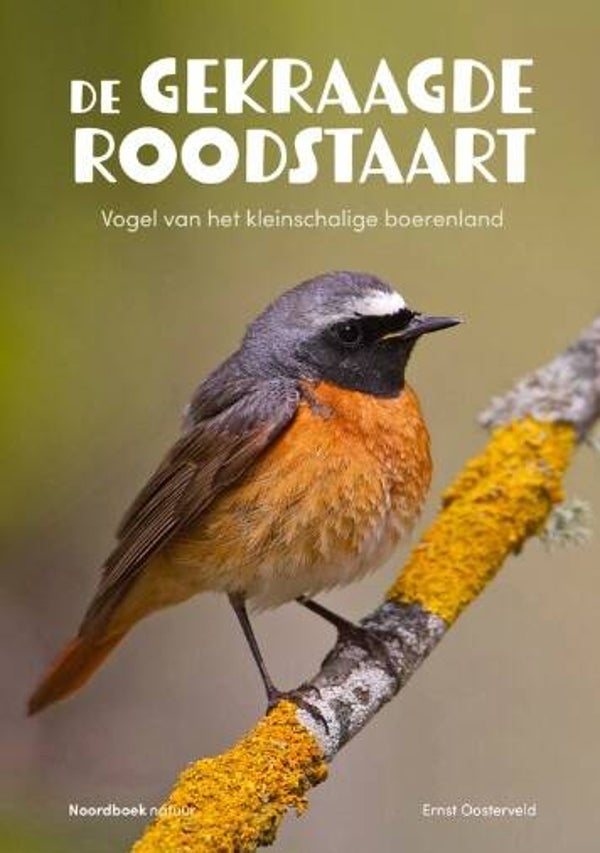 Oosterveld, Ernst - De gekraagde roodstaart