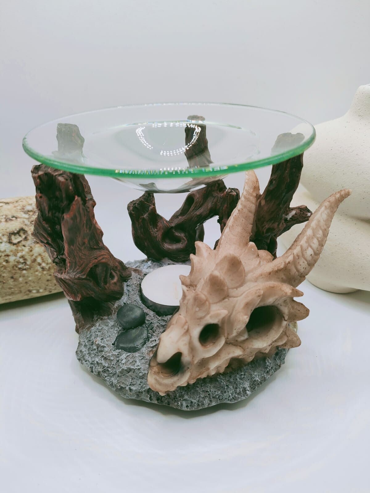 Brûleur crâne dinausaure