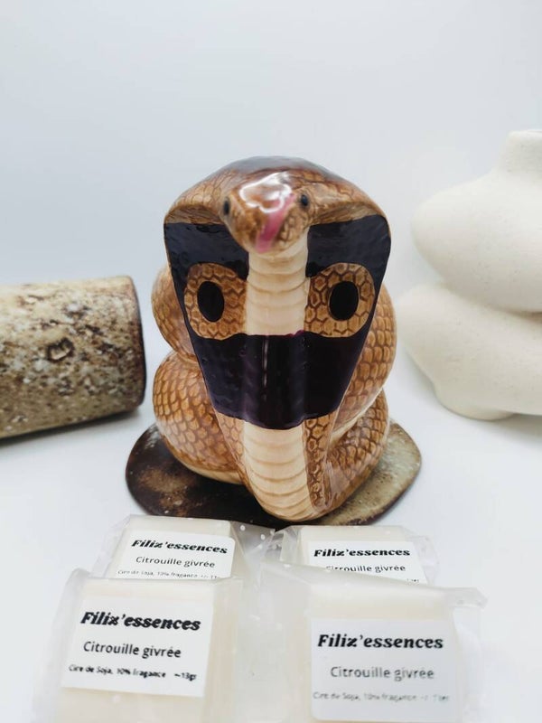 coffret charme serpent
