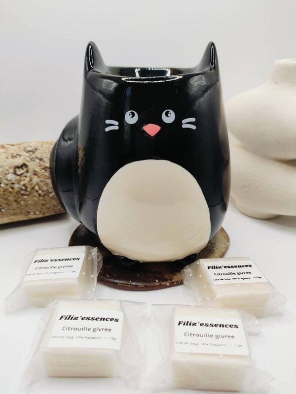 coffret découverte chat