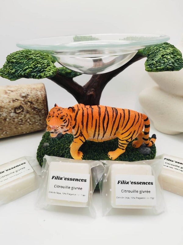 coffret collector tigre