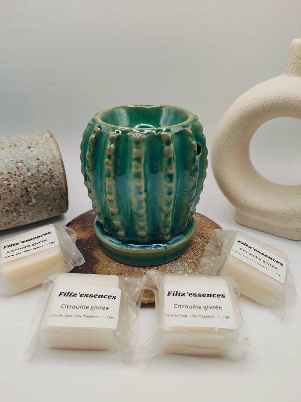 coffret découverte cactus vert foncé