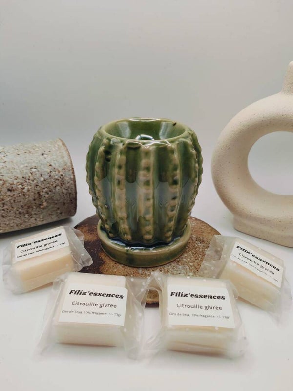 coffret découverte cactus vert clair