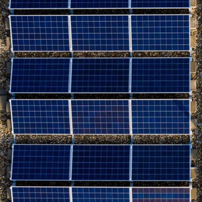zonnepanelen plat dak