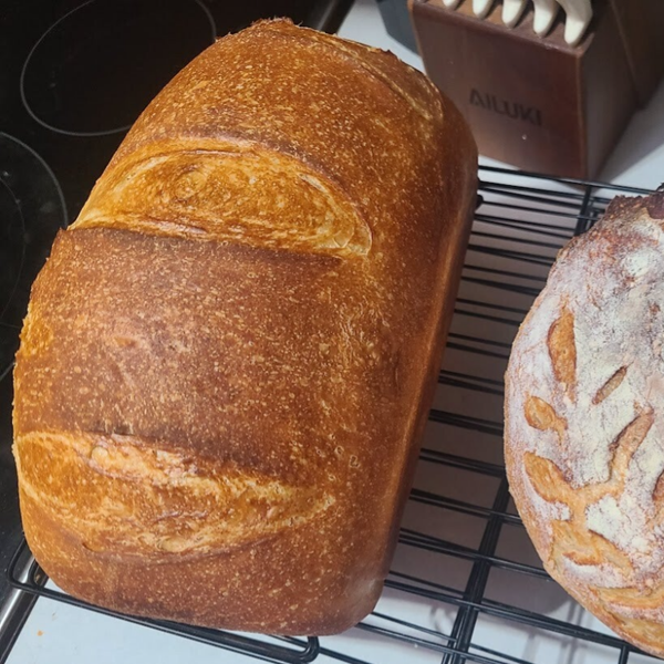 Sourdough Sandwich Loaf
