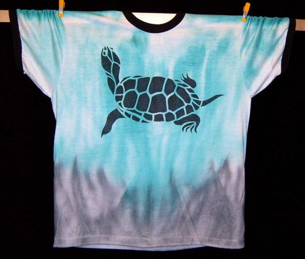 underwater turtle