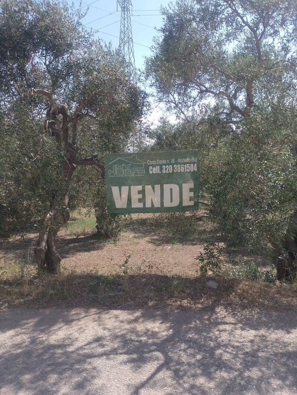 TERRENO AGRICOLO A POCHISSIMI MINUTI DAL PAESE