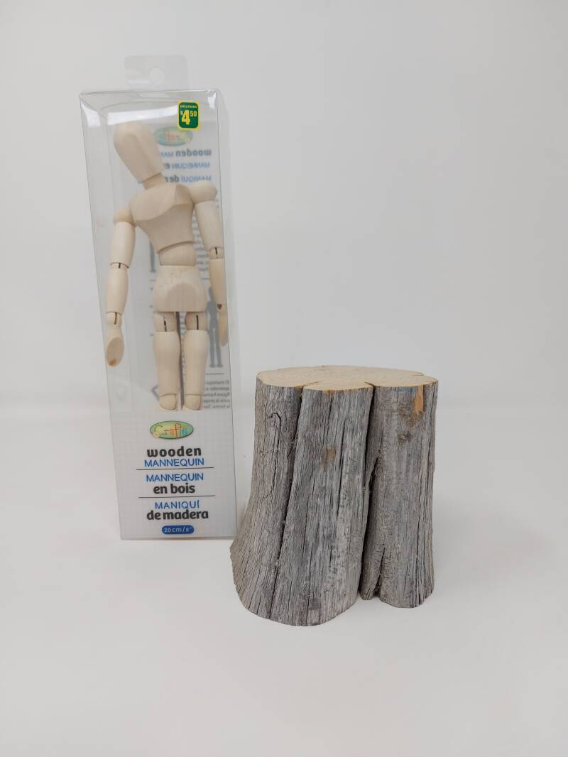 Post AI takeover (start)