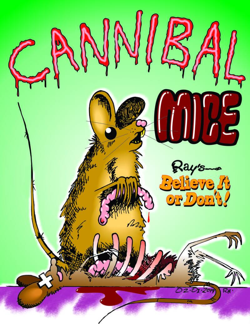 Digital art based on a true story