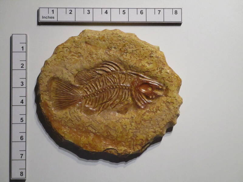 Rubber mold cast concrete, acid etch stain