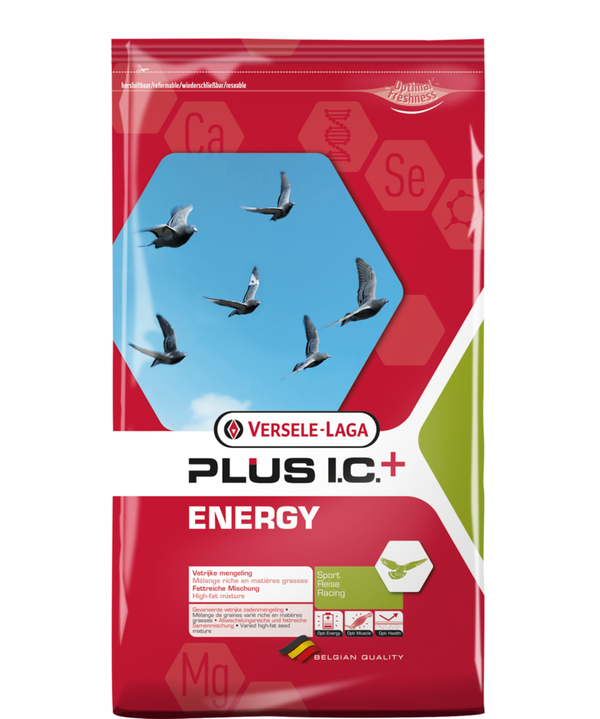 ENERGY PLUS I.C.+